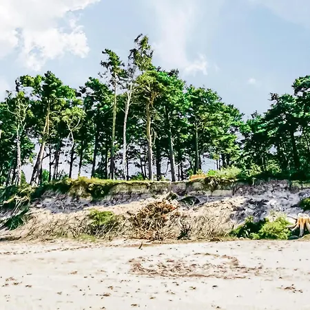 Cozy In With Kitchen 別荘 *