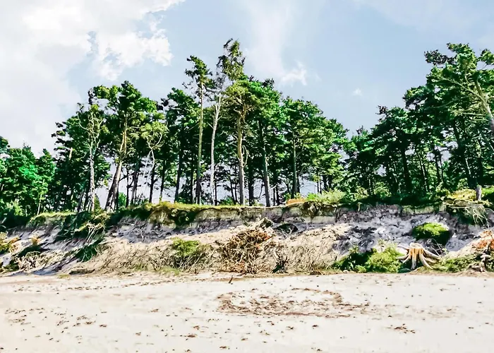 Cozy In With Kitchen Semesterbostad *